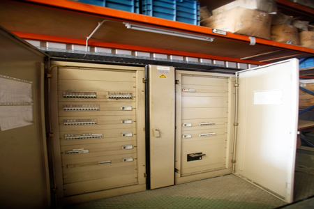 Electroleite_eumel_foto6