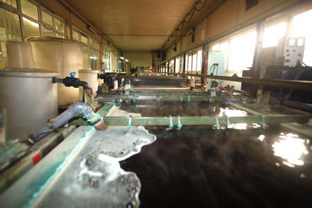 Electroleite_eumel_foto9