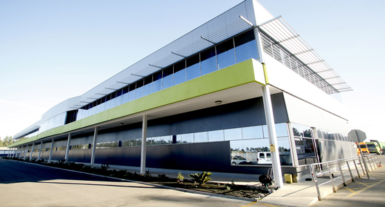 electroleite-green-days-dias-verdes